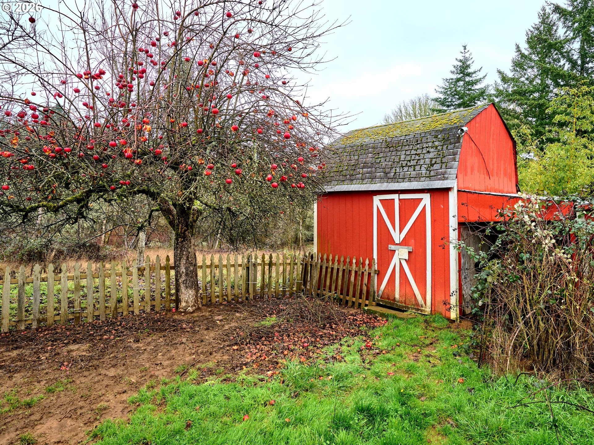 750 Northeast 5th Street Willamina, OR 97396 - Photo 28 of 39