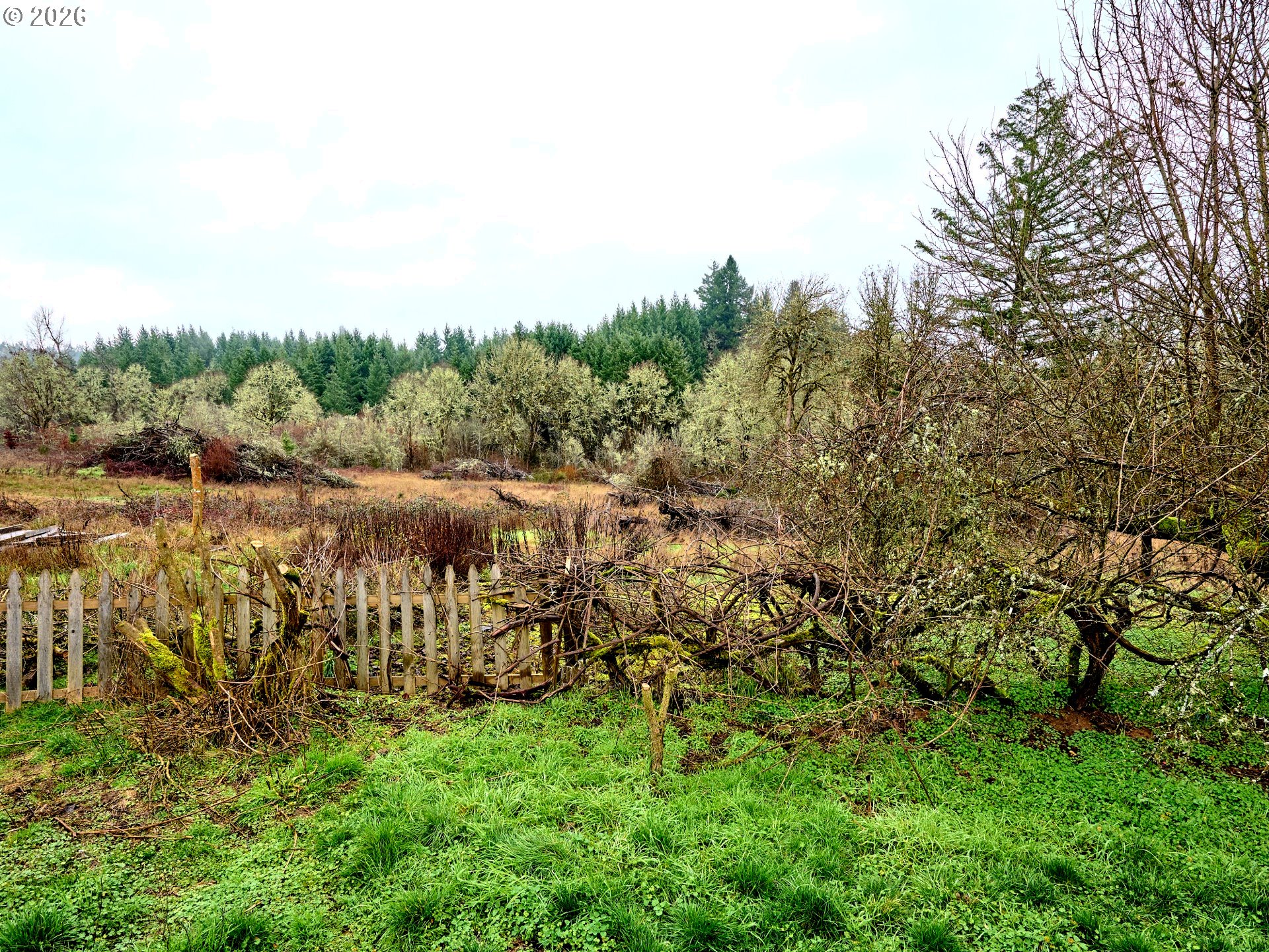 750 Northeast 5th Street Willamina, OR 97396 - Photo 31 of 39