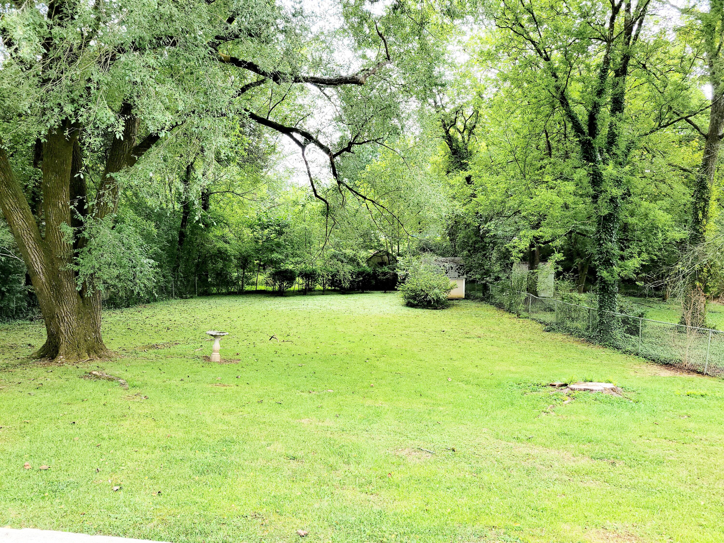 146 Beverly Circle Oak Ridge, TN 37830 - Photo 17 of 20 Park like Yard!