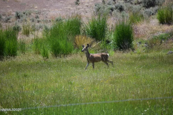 a view of a house with backyard and porch