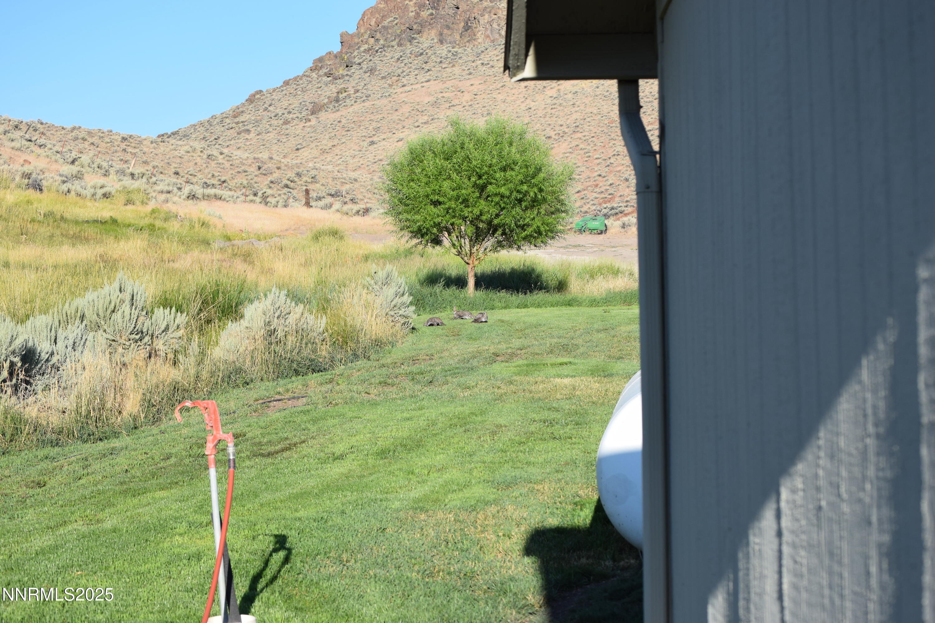 3300 High Rock Road Gerlach, NV 89412 - Photo 39 of 57 a view of a yard