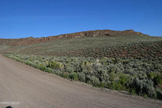 a view of a mountain with a field