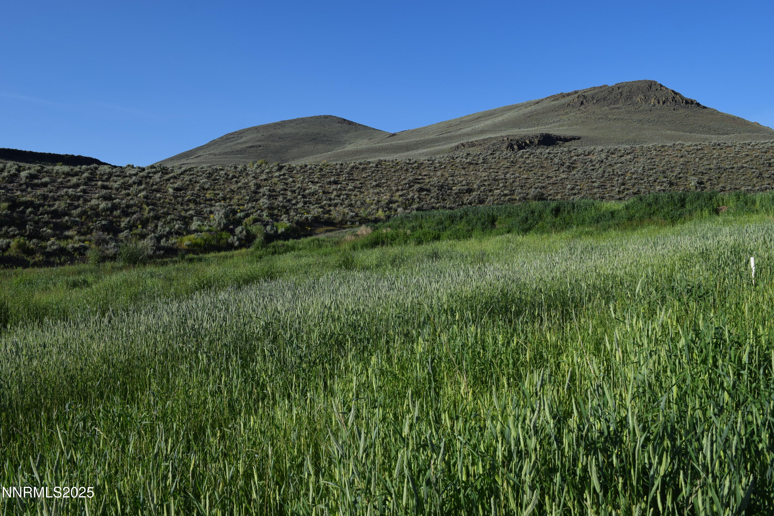 3300 High Rock Road Gerlach, NV 89412 - Photo 43 of 57 a view of a large building with a yard