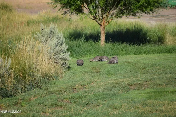 $1,250,000 | 3300 High Rock Road, Gerlach, NV 89412