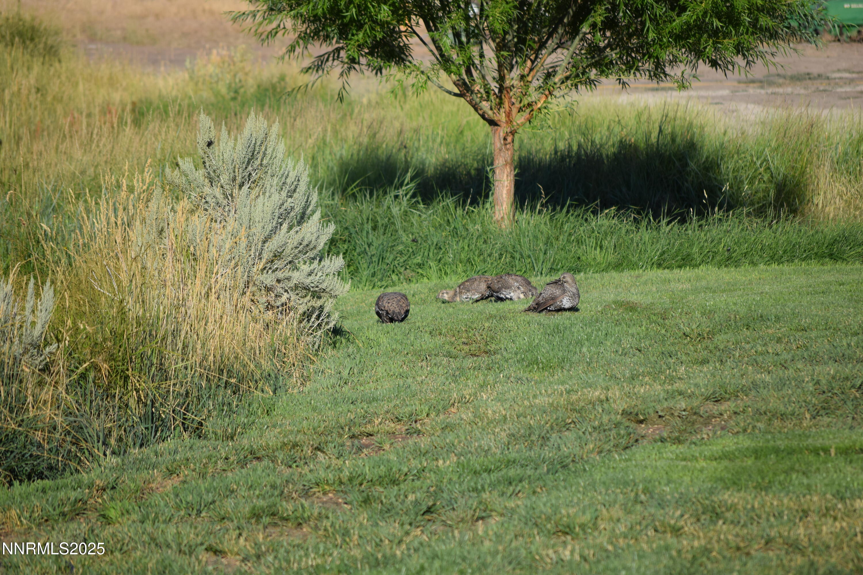 3300 High Rock Road Gerlach, NV 89412 - Photo 55 of 57 a view of a lake with a yard