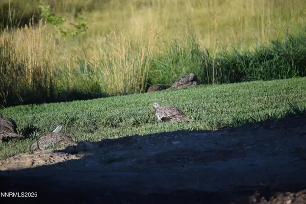 $1,250,000 | 3300 High Rock Road, Gerlach, NV 89412