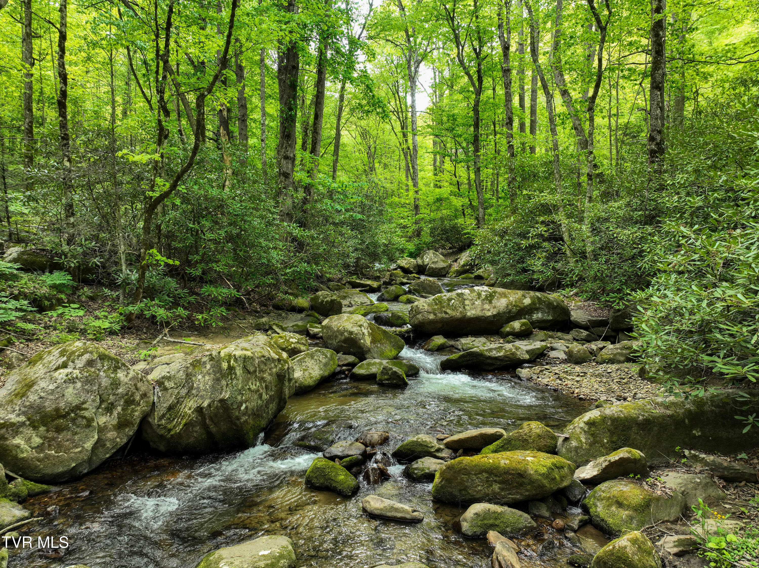 275 Tiger Creek Road Roan Mountain, TN 37687 - Photo 91 of 104 275 Tiger Creek Rd Drone WALLACE-38