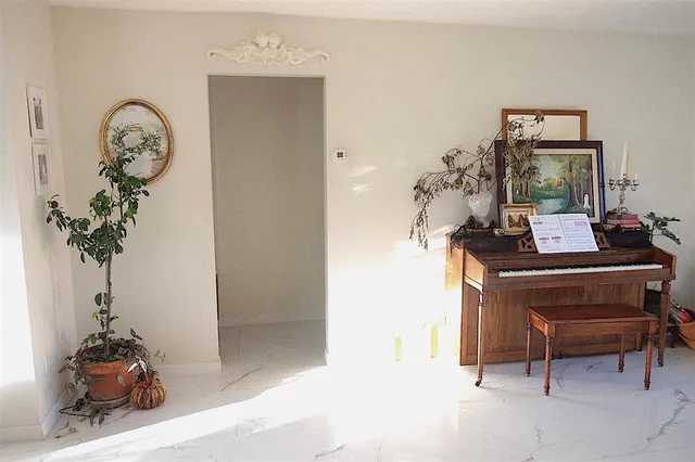 a living room with furniture and a potted plant