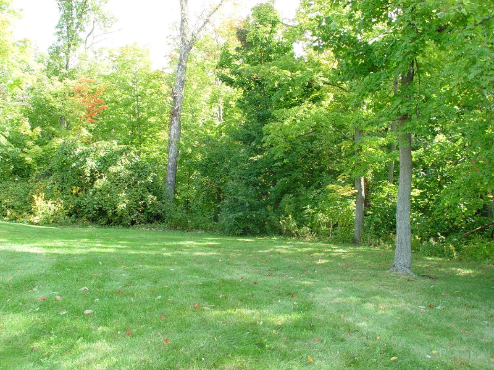 1101 Fort Road Benton Harbor, MI 49022 - Photo 11 of 13 DSC02394