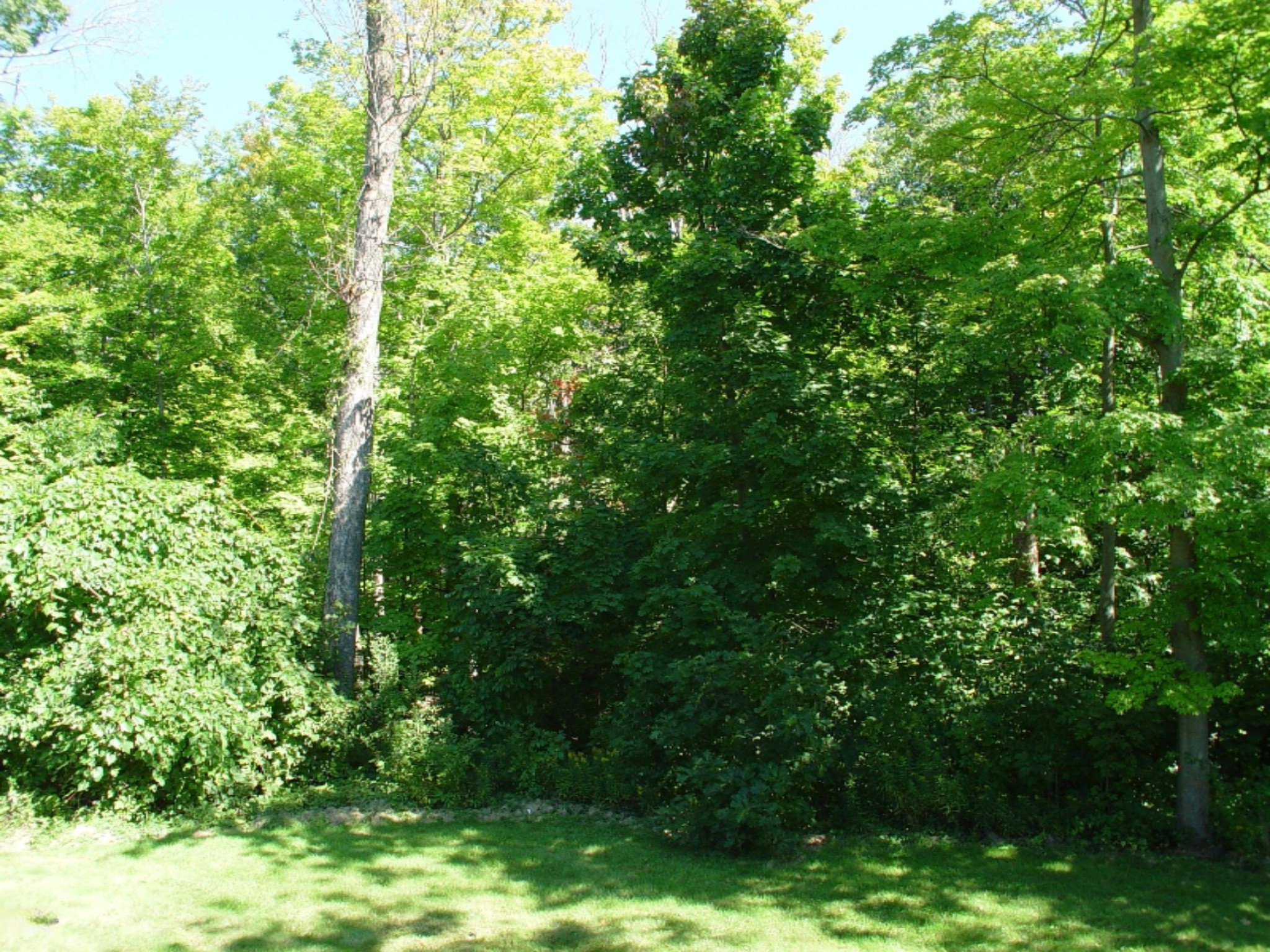 1101 Fort Road Benton Harbor, MI 49022 - Photo 12 of 13 DSC02313