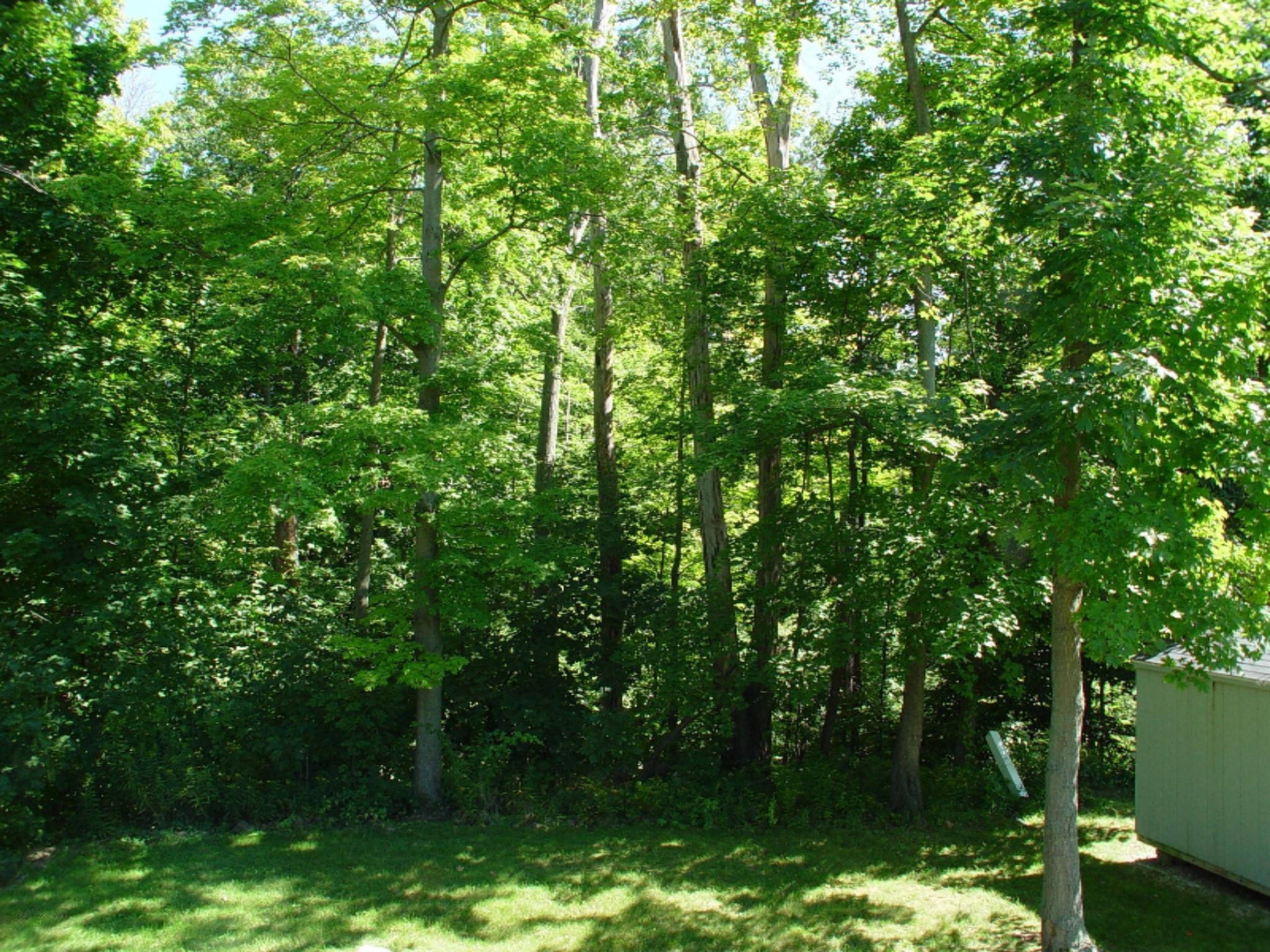 1101 Fort Road Benton Harbor, MI 49022 - Photo 13 of 13 DSC02314