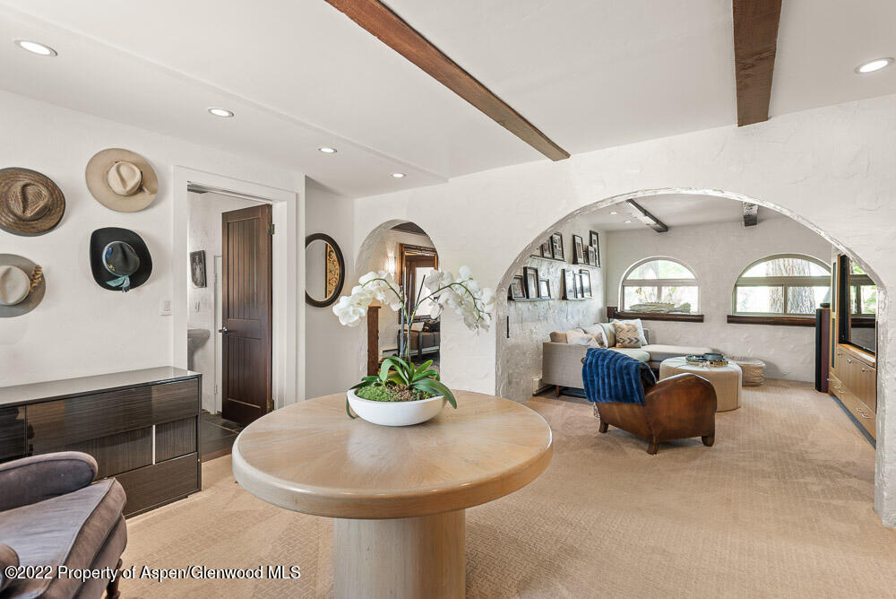 2459 Emma Road Basalt, CO 81621 - Photo 11 of 31 a living room with furniture and potted plants