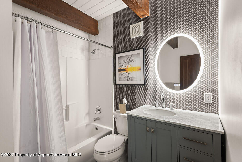 2459 Emma Road Basalt, CO 81621 - Photo 21 of 31 a bathroom with a toilet a sink and a mirror