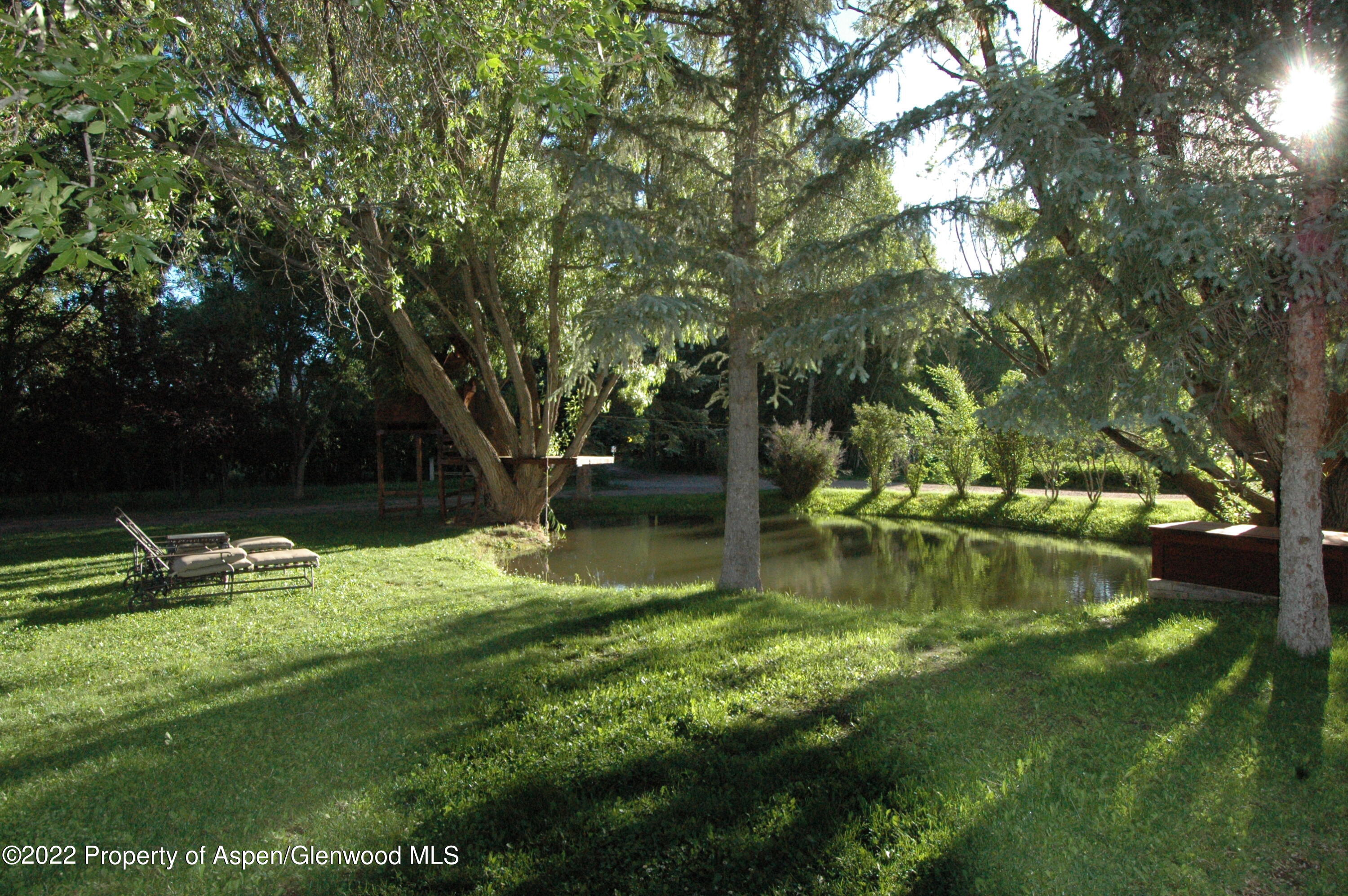 2459 Emma Road Basalt, CO 81621 - Photo 28 of 31 a garden with trees in the background
