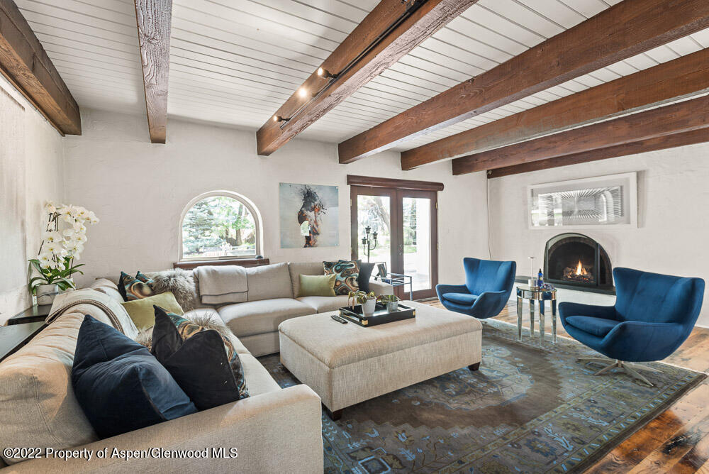 2459 Emma Road Basalt, CO 81621 - Photo 7 of 31 a living room with furniture a fireplace and a potted plant