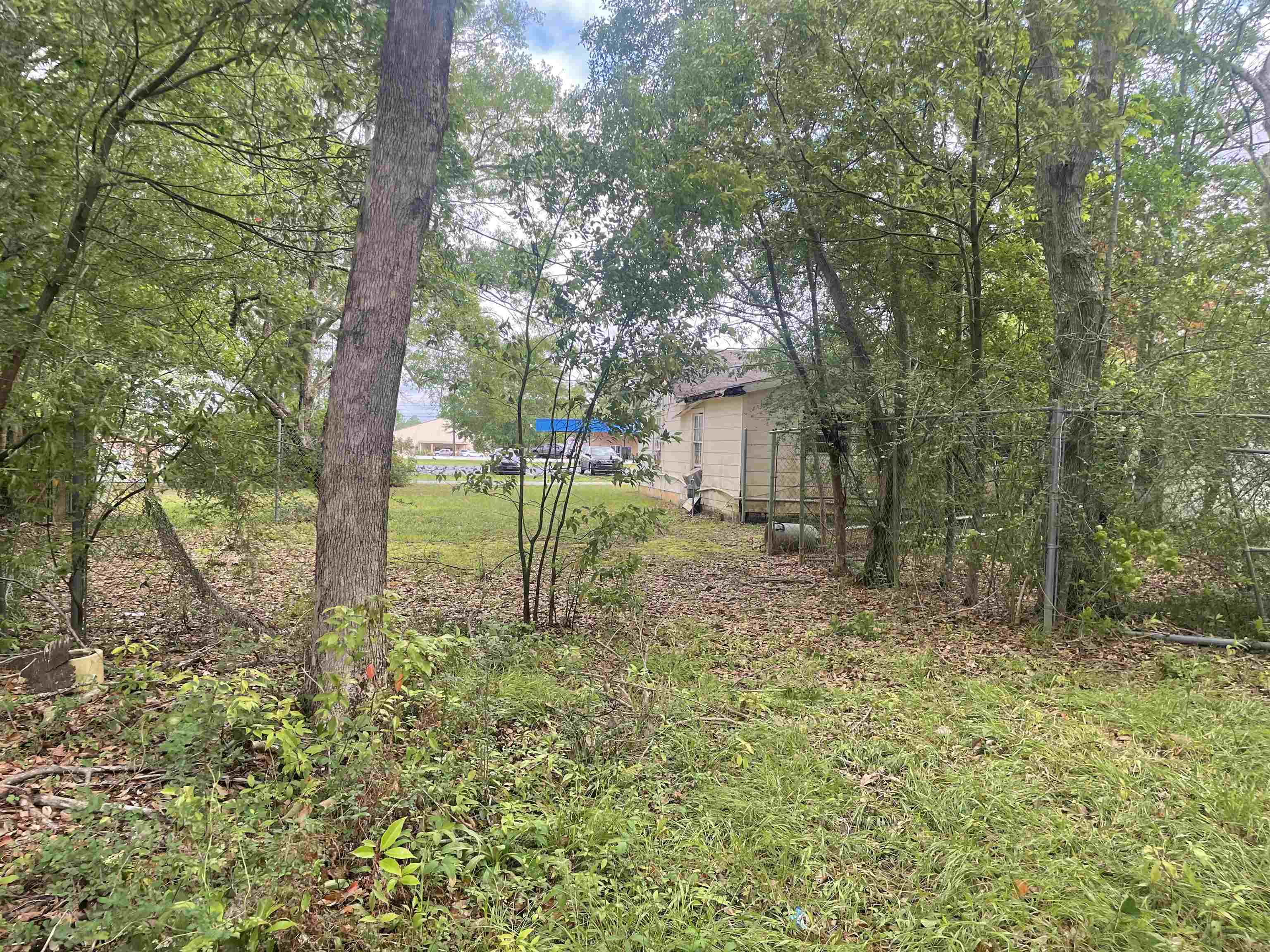22995 St Paul Street Robertsdale, AL 36567 - Photo 3 of 4