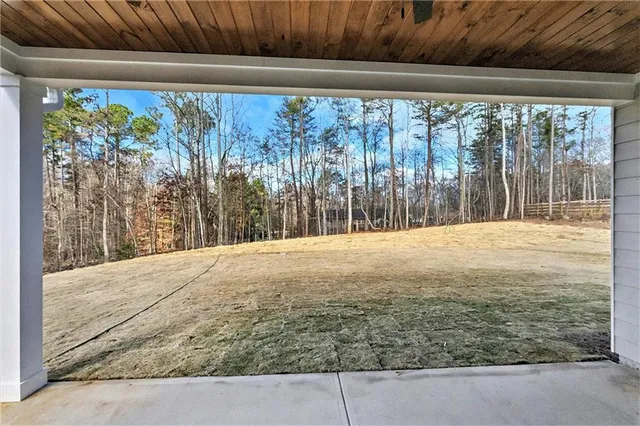 a view of backyard with large trees and plants