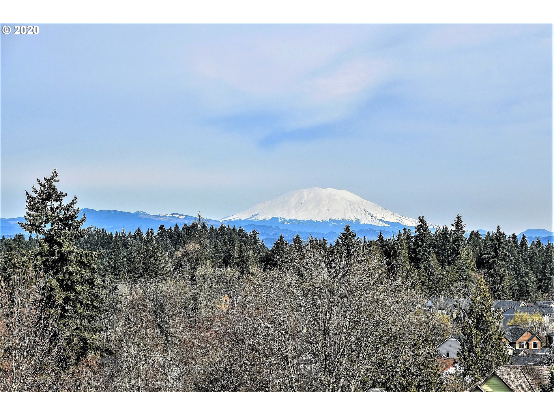 2502 Northeast 163rd Street Ridgefield, WA 98642 - Photo 12 of 31