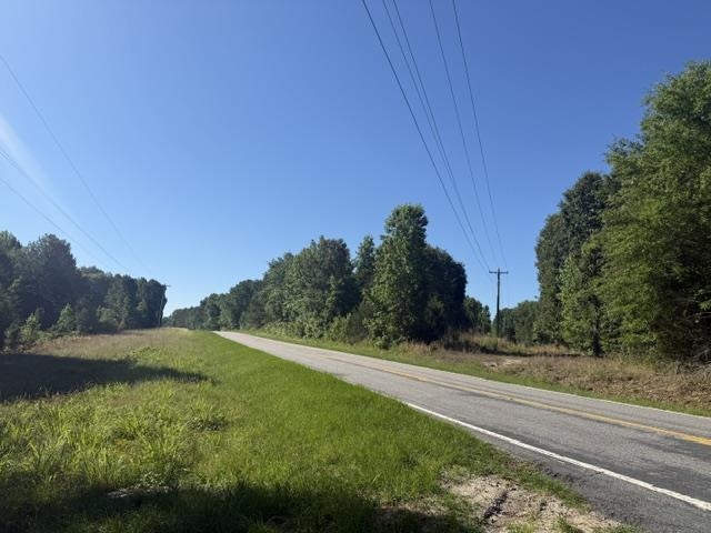 491 Crow Burk Road Pageland, SC 29728 - Photo 3 of 9