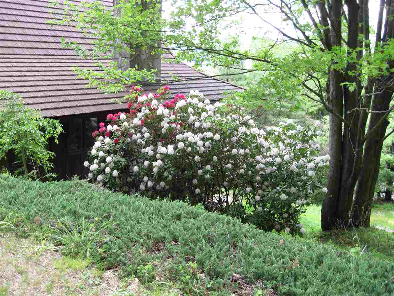 16 Park Ridge Road Springfield, VT 05156 - Photo 37 of 40