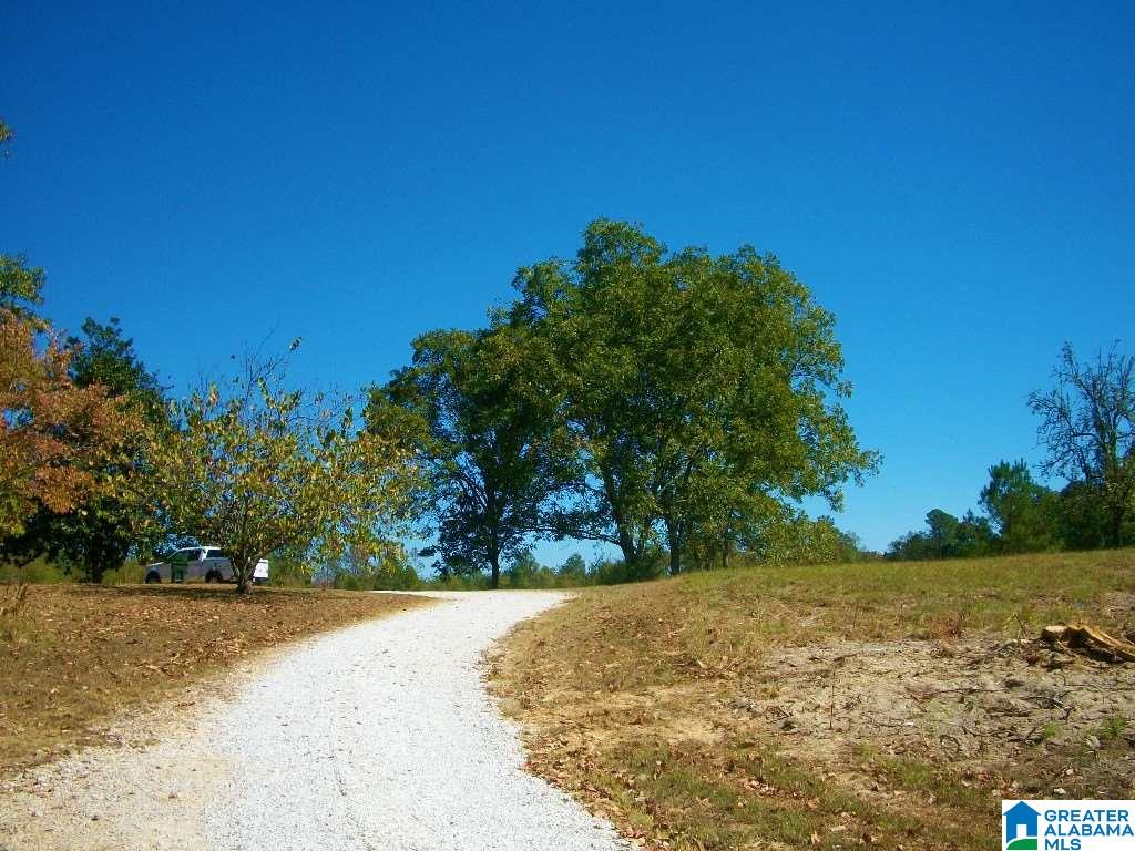 205 Gessler Drive Ohatchee, AL 36271 - Photo 45 of 50