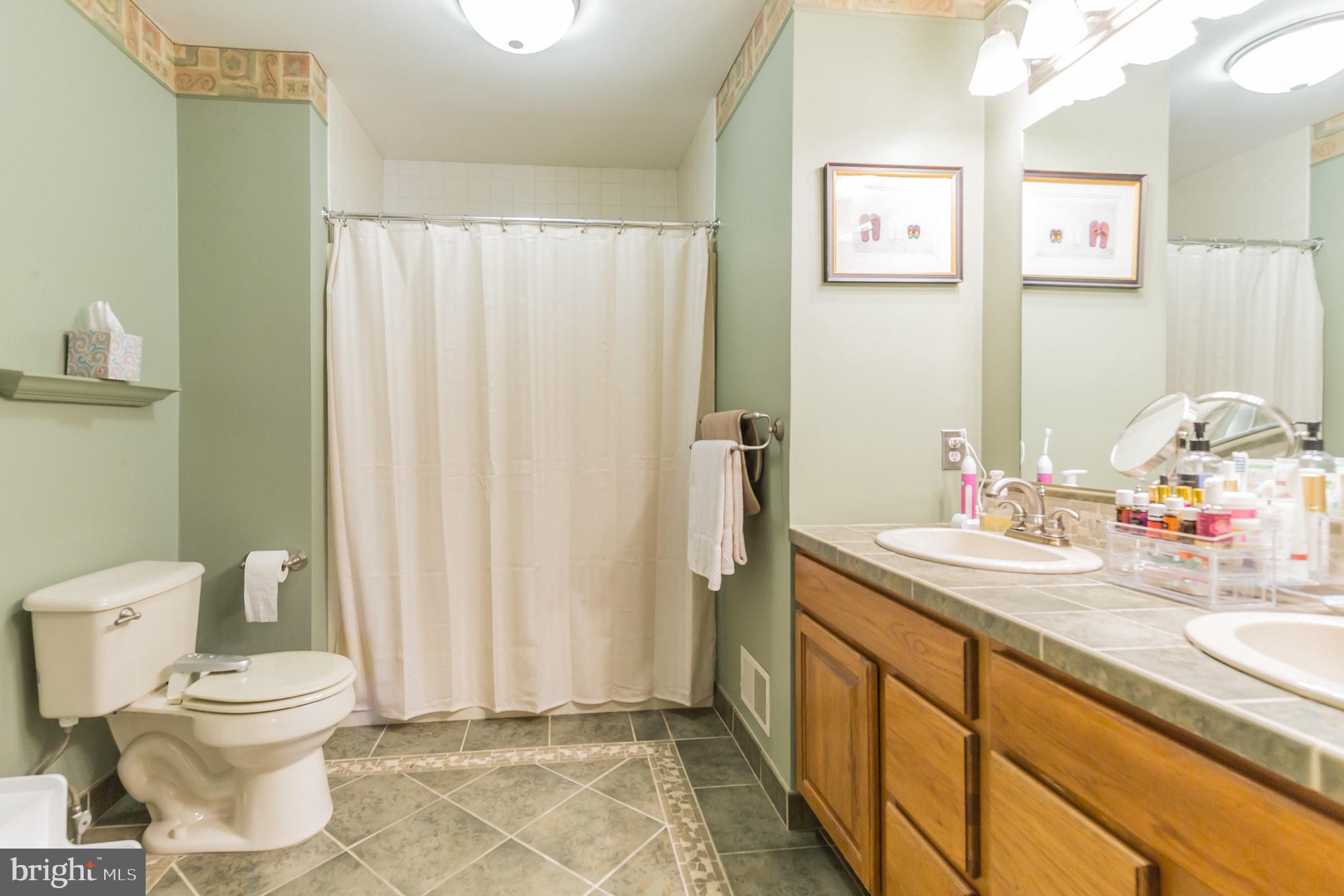20 Madison Drive Reading, PA 19606 - Photo 28 of 36 en suite bath for Main Bedroom