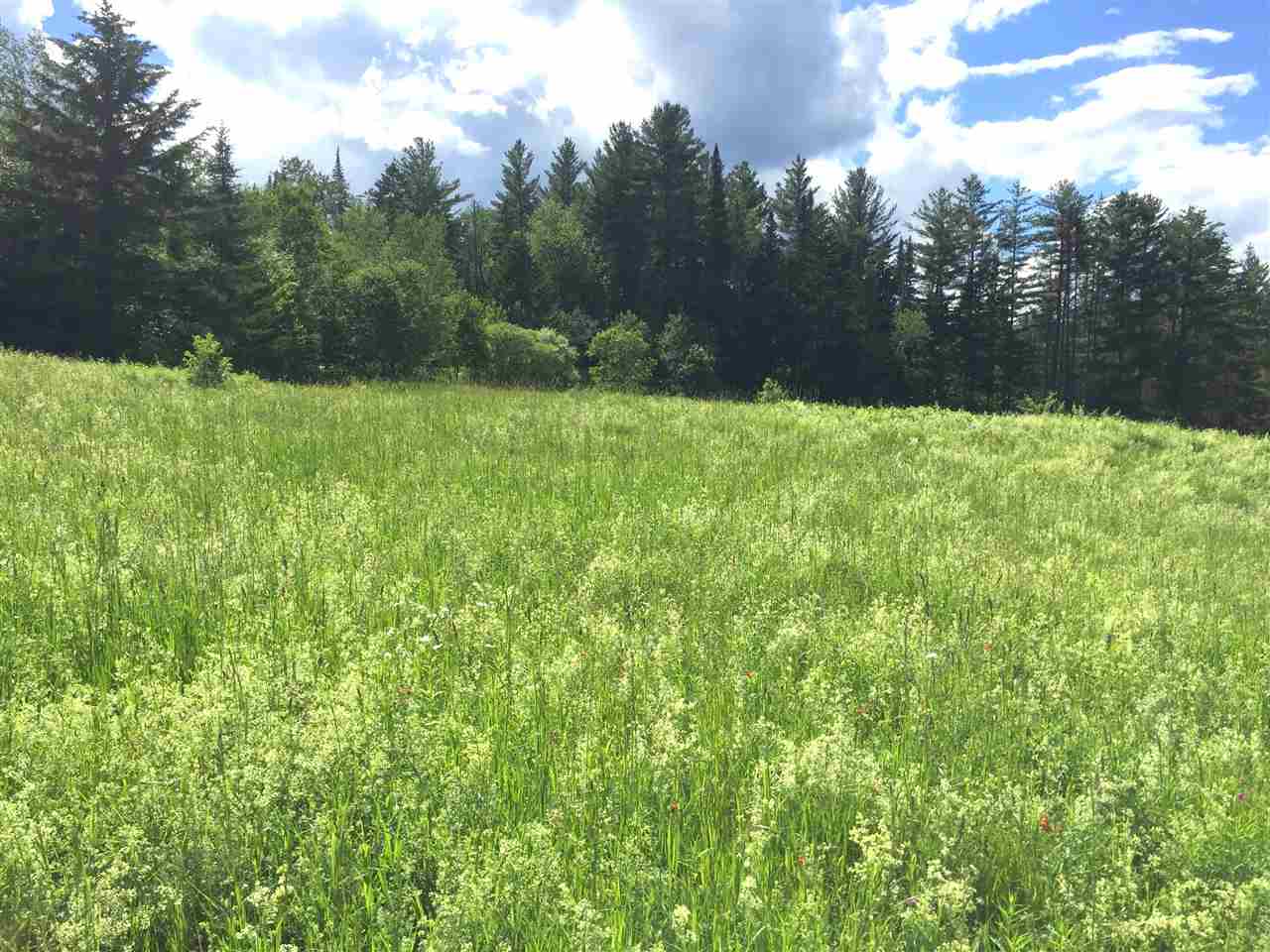 901 Seyon Pond Road Groton, VT 05046 - Photo 34 of 40 Gallery Image 34