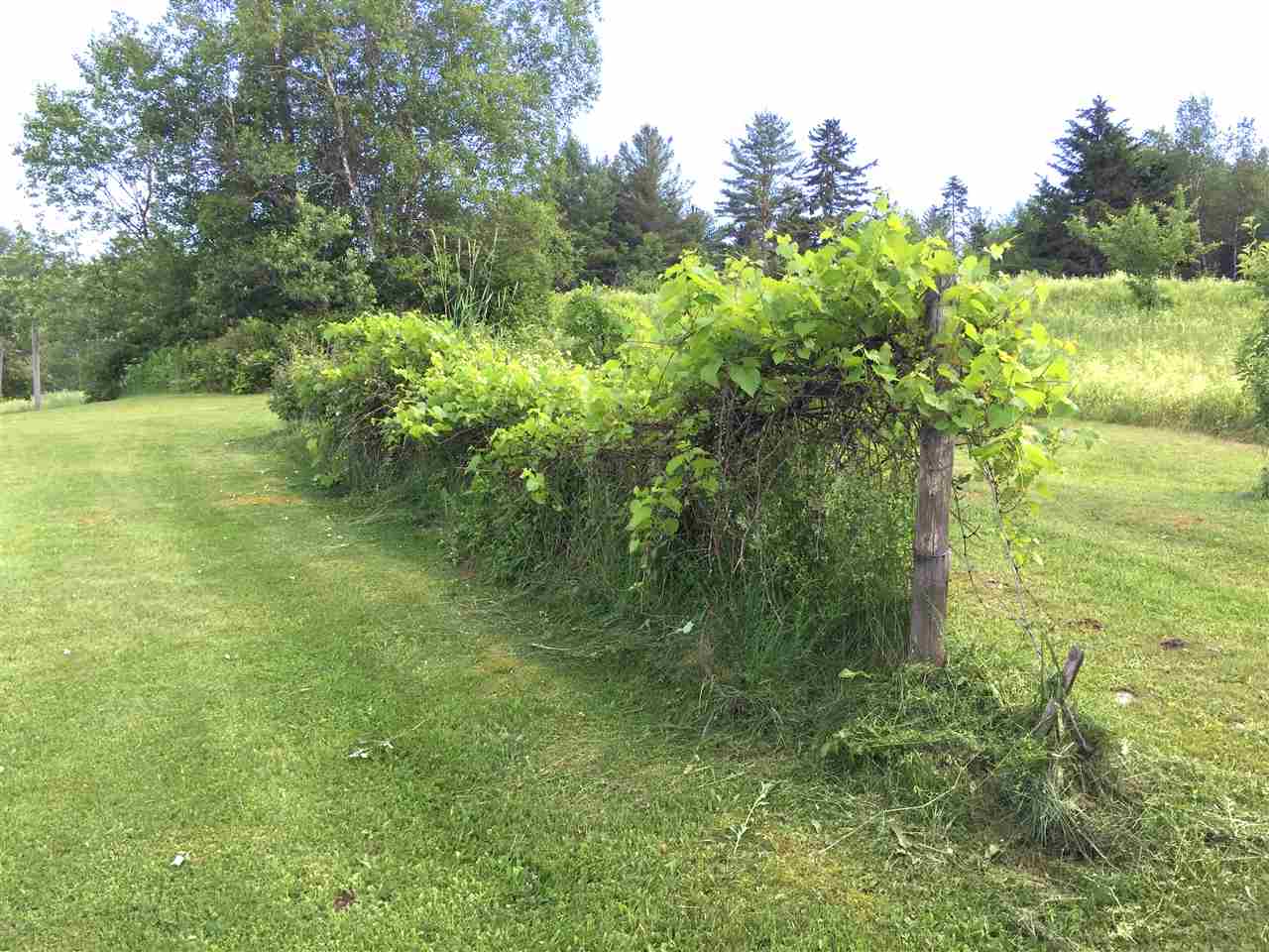 901 Seyon Pond Road Groton, VT 05046 - Photo 35 of 40 Gallery Image 35