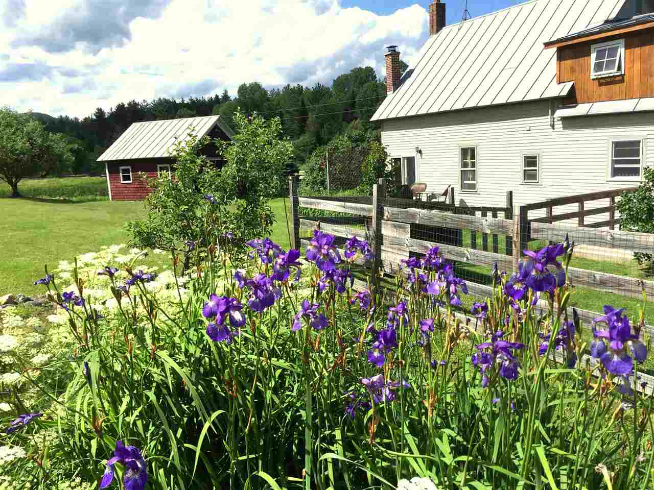 901 Seyon Pond Road Groton, VT 05046 - Photo 6 of 40 Gallery Image 6