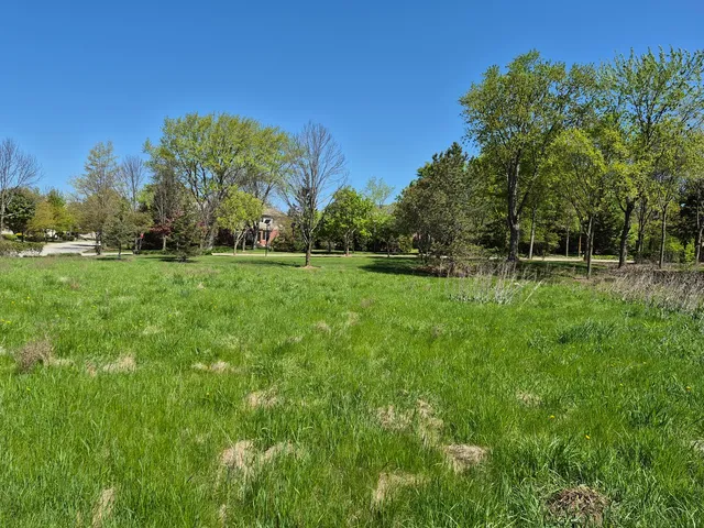 a view of a big yard with large trees
