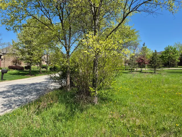 a view of a yard with a tree