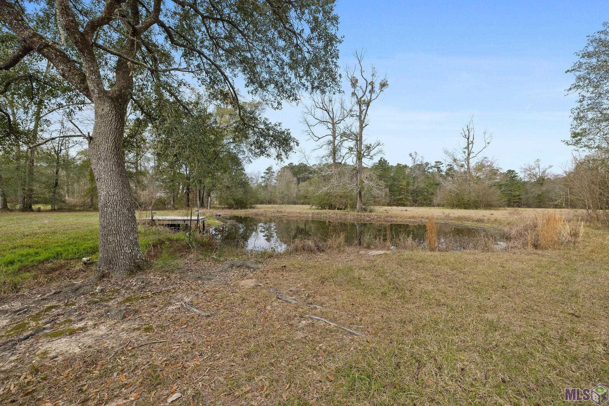 29417 Mary Kinchen Road Independence, LA 70443 - Photo 36 of 43
