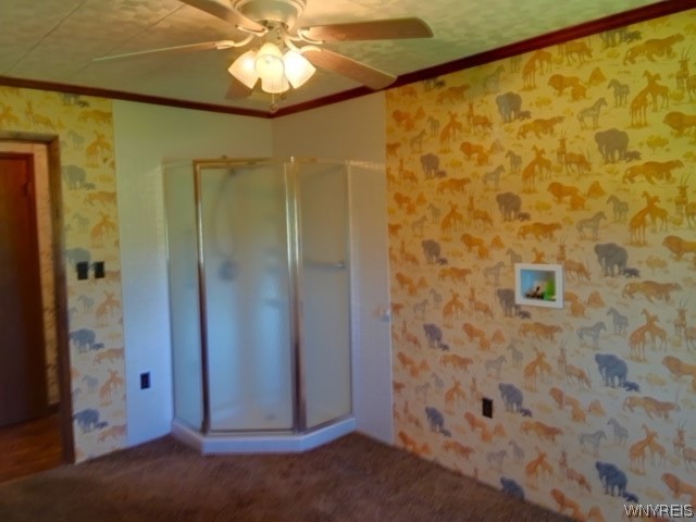 956 Cain Road Evans, NY 14006 - Photo 14 of 18 An extra shower in the other room