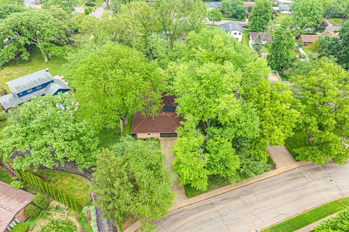 16 Green Ridge Road Elgin, IL 60120 - Photo 5 of 35 Gallery Image 5