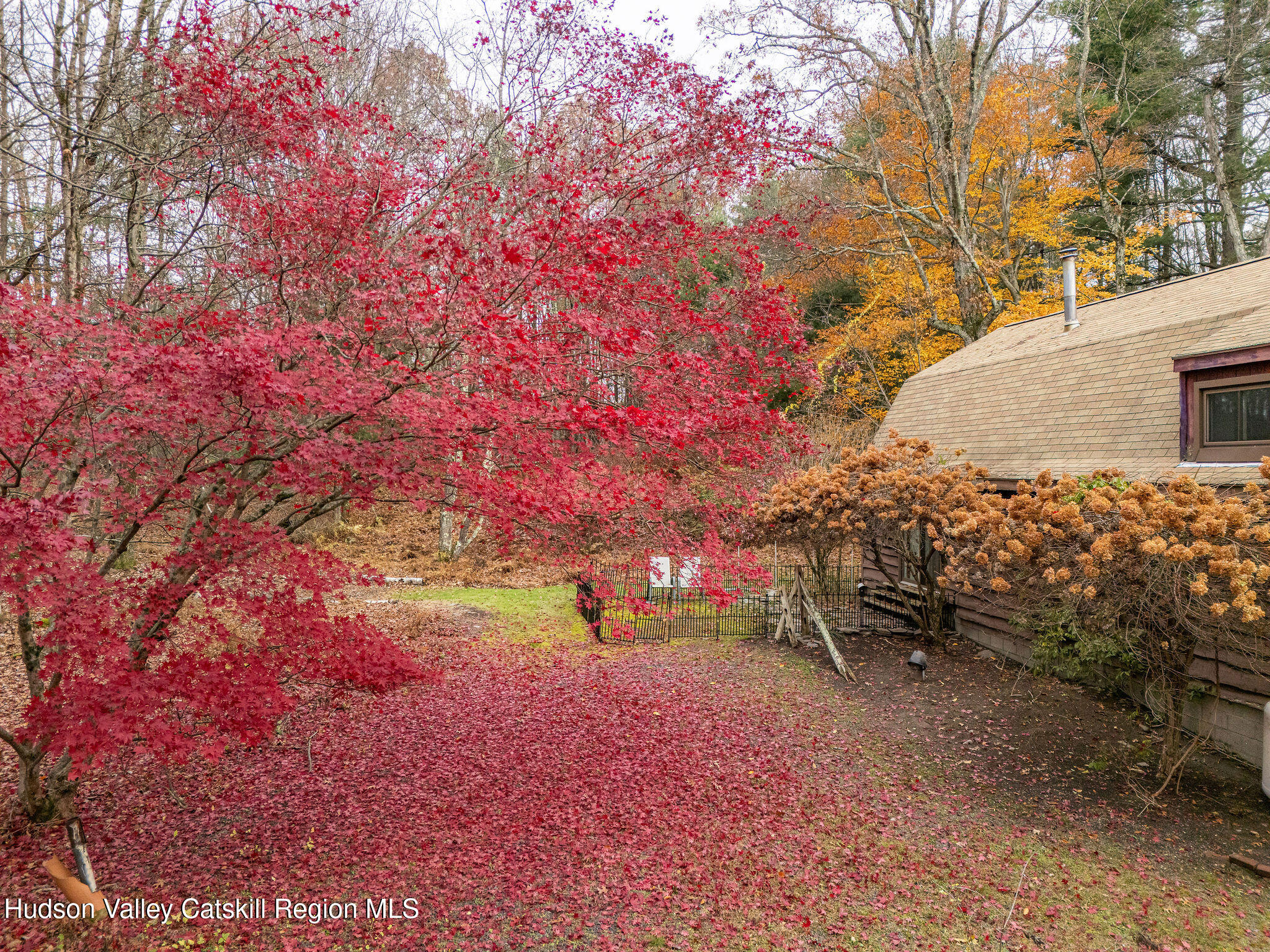 845-849 Peak Road Stone Ridge, NY 12484 - Photo 37 of 50 a view of a yard with an trees