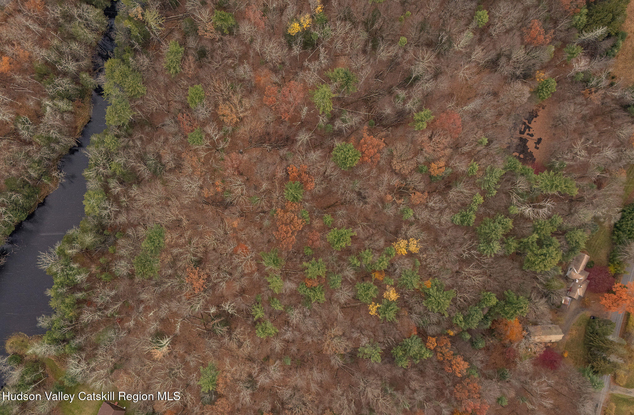 845-849 Peak Road Stone Ridge, NY 12484 - Photo 38 of 50 a close up of a tree