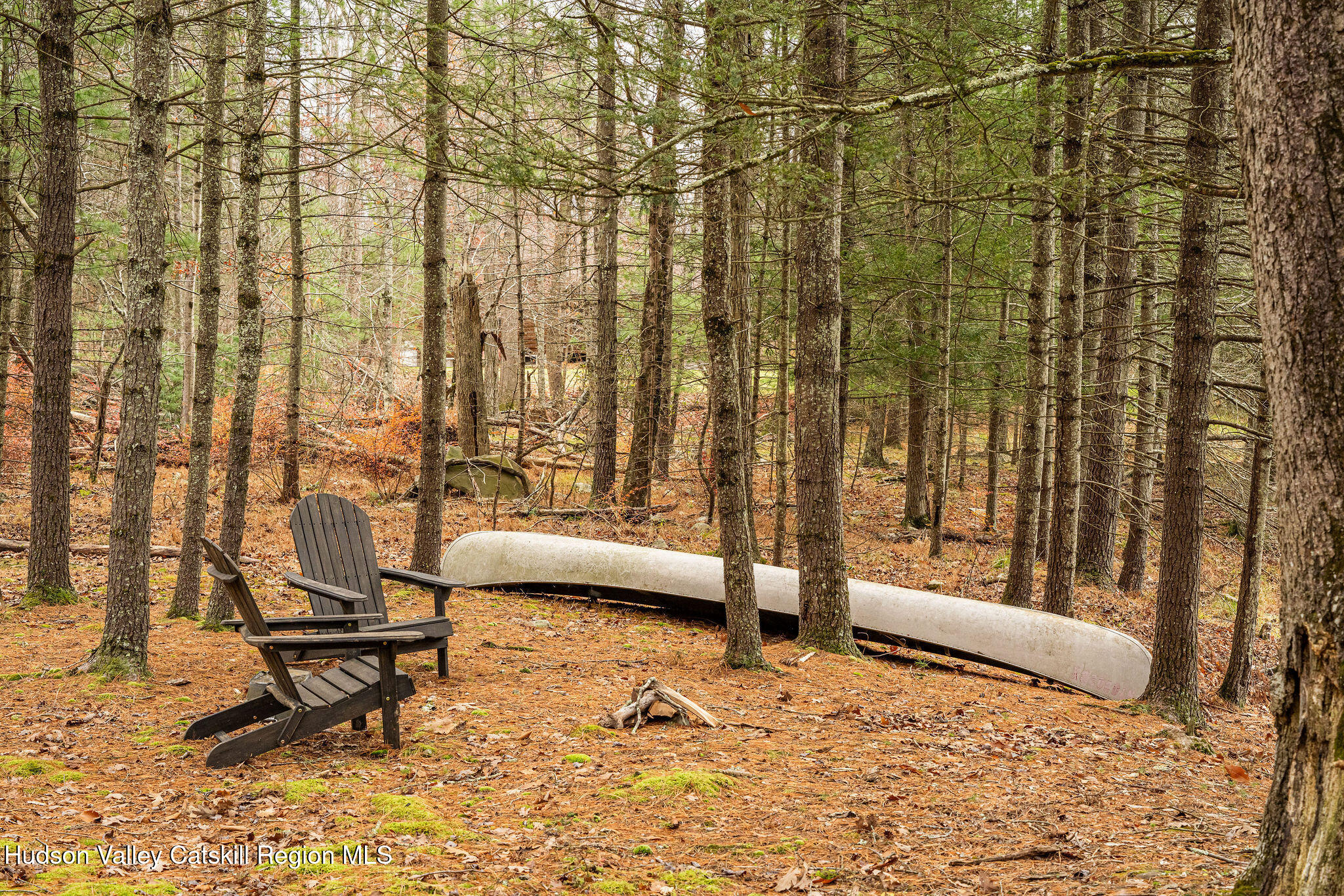 845-849 Peak Road Stone Ridge, NY 12484 - Photo 42 of 50 a living room with a couch and a rug