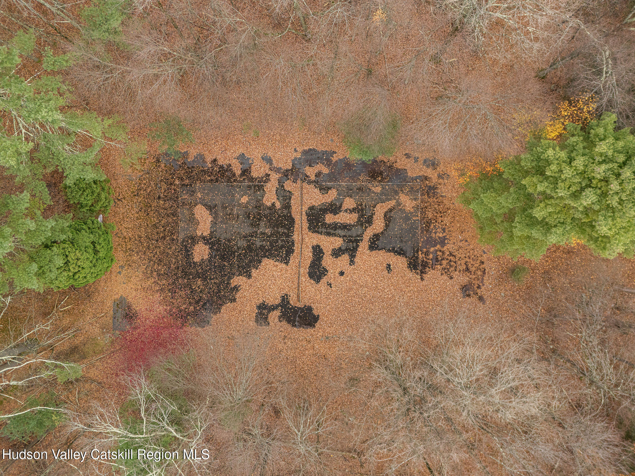 845-849 Peak Road Stone Ridge, NY 12484 - Photo 45 of 50 a view of lot of trees with yard
