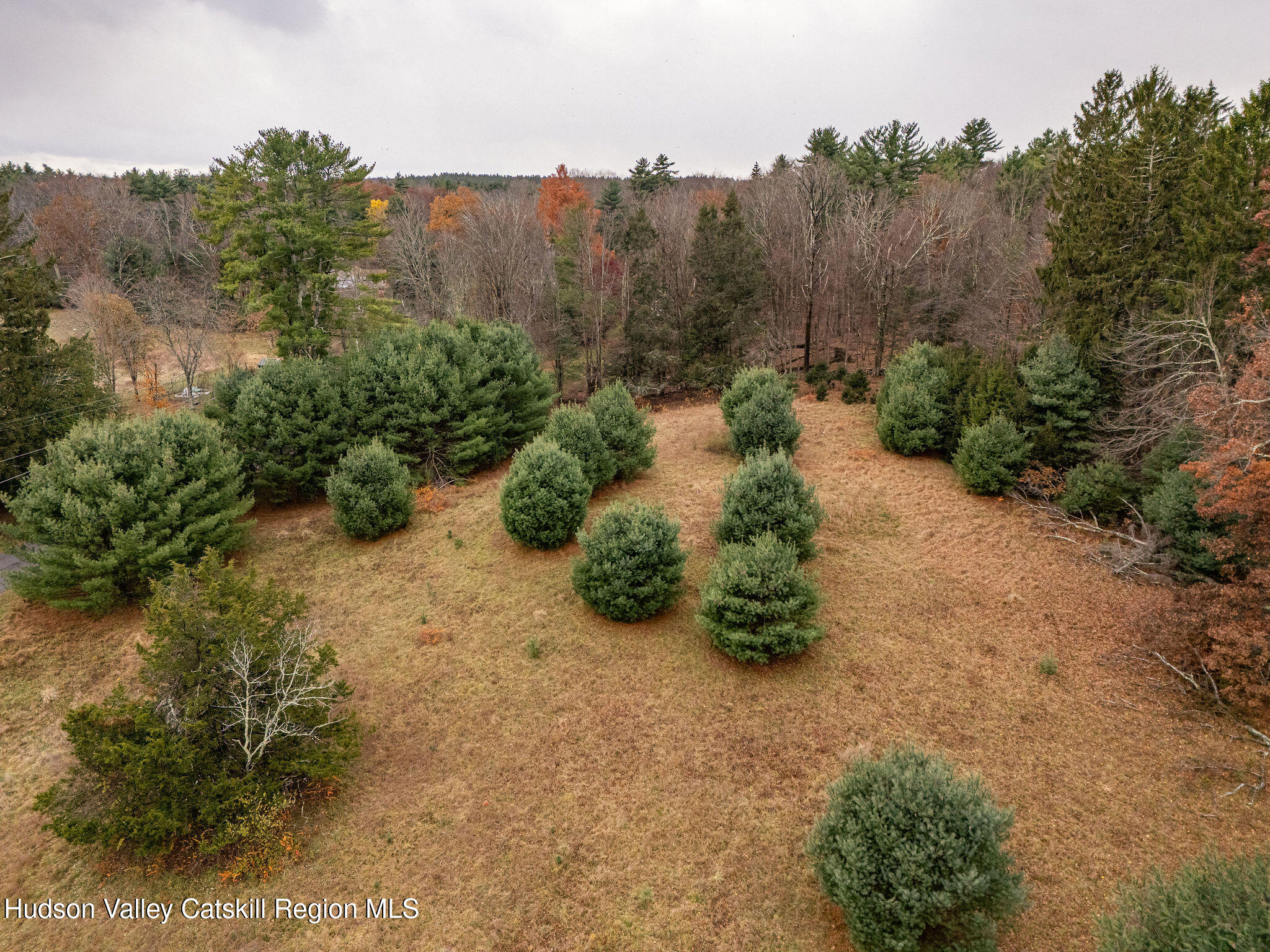 845-849 Peak Road Stone Ridge, NY 12484 - Photo 46 of 50 a pathway of a yard