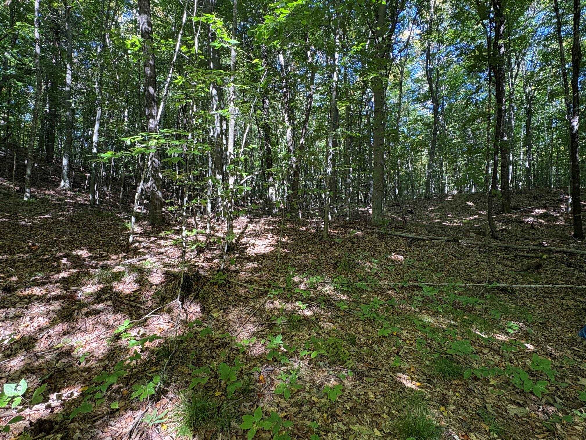 N12175 Bear Cave Road Silver Cliff, WI 54104 - Photo 5 of 10 Gallery Image 5
