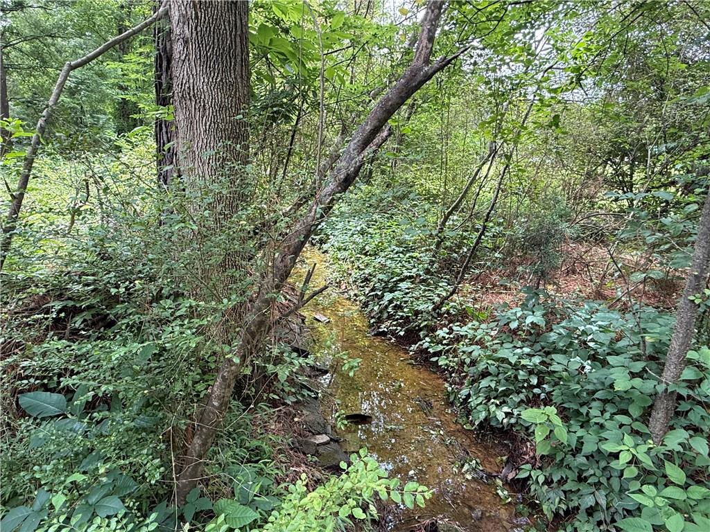 726 Old Rome Road Aragon, GA 30104 - Photo 23 of 30