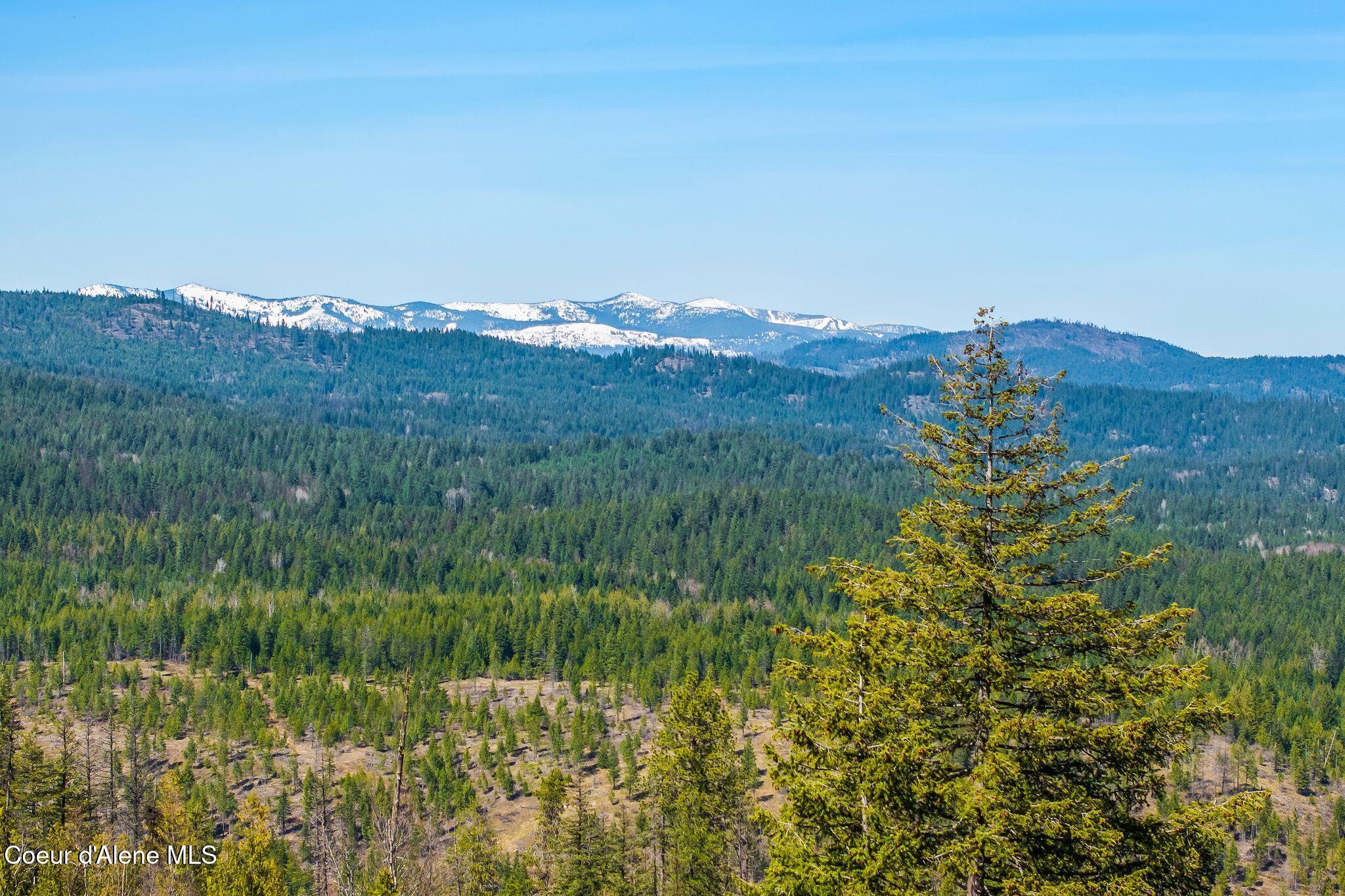 831 Outlook Road Cocolalla, ID 83813 - Photo 7 of 13 mls_DJI_20250415052038_0089_D_M3PRO