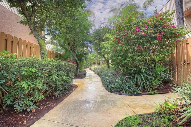 a view of a garden with plants