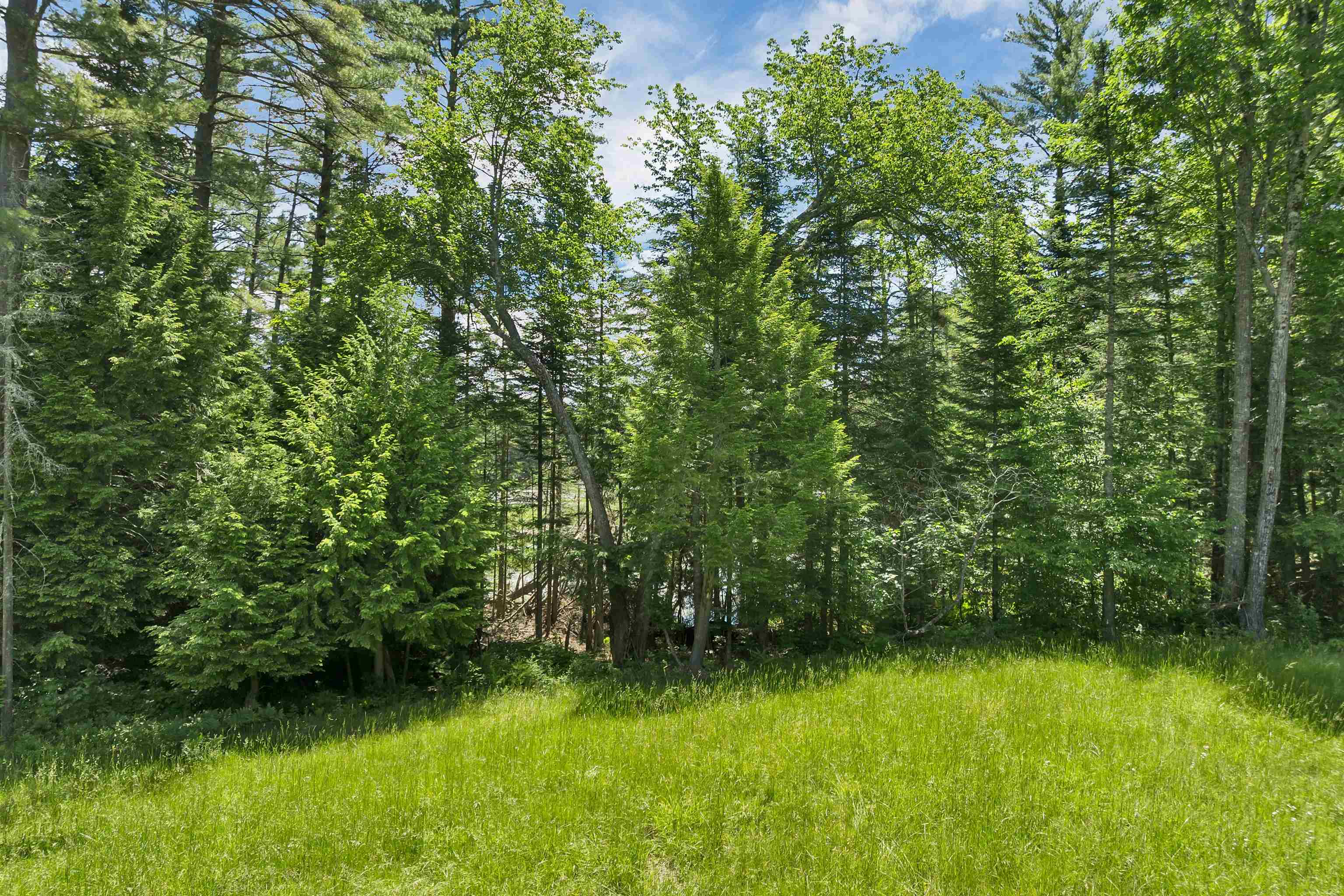 0 Beaver Pond Road Moultonborough, NH 03254 - Photo 27 of 46