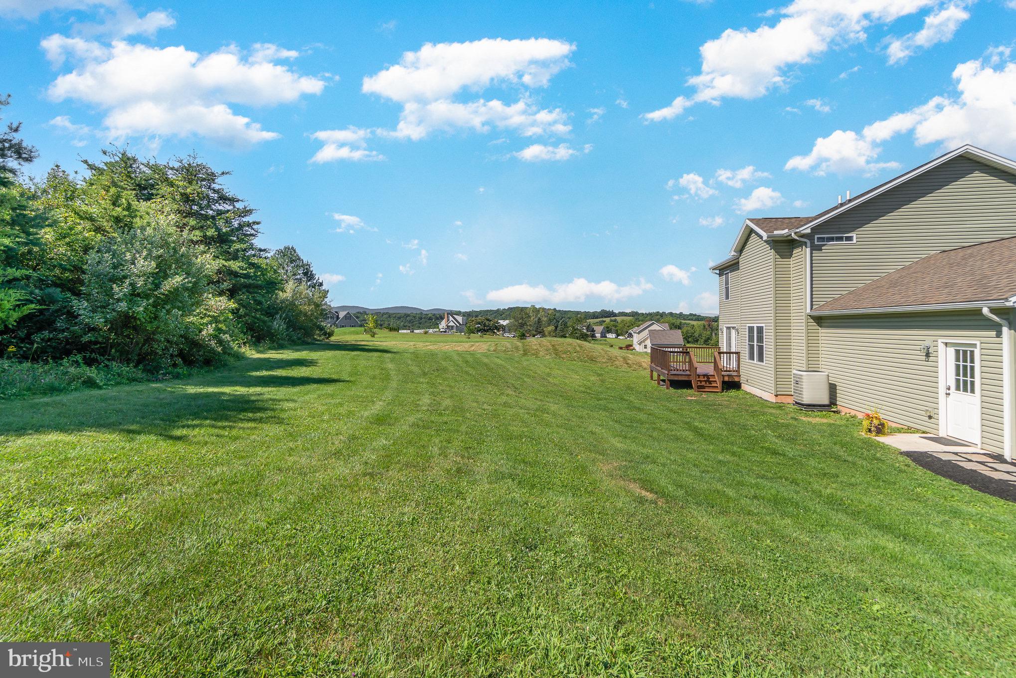 107 Old Mill Road Shermans Dale, PA 17090 - Photo 5 of 46 Back yard