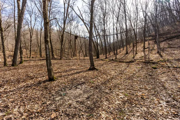 $650,000 | Lt0 Lt0 County Road, Boscobel, WI 53805