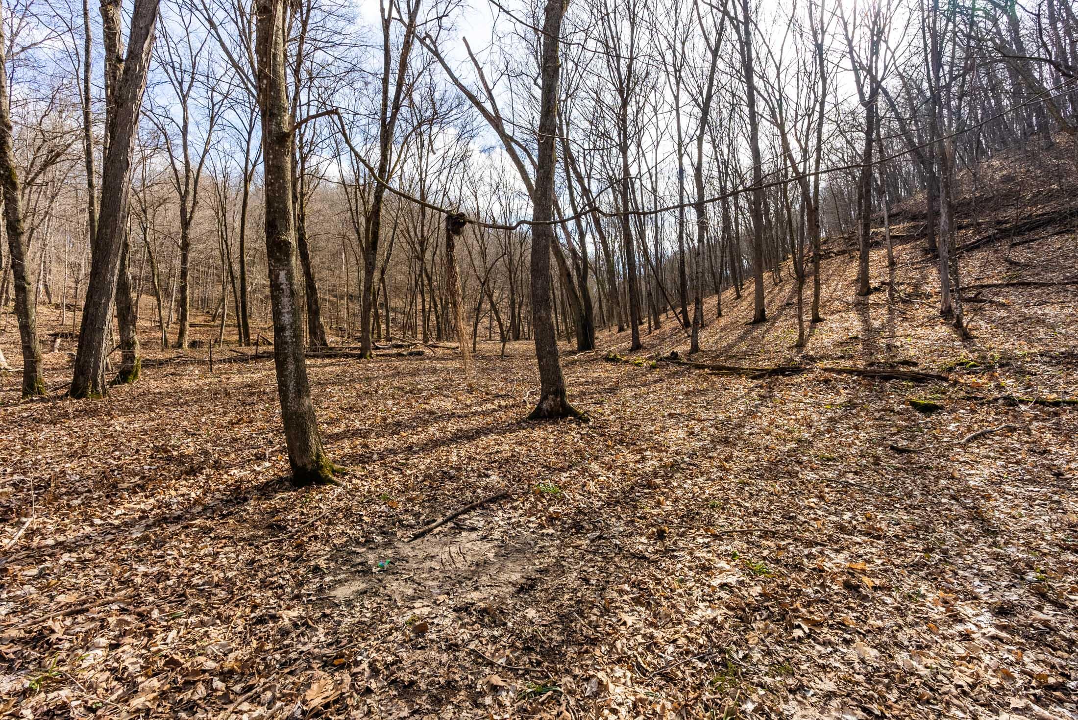 Lt0 Lt0 County Road Boscobel, WI 53805 - Photo 11 of 74 Crawford-County-WI-86-Acres-Land-For-Sal
