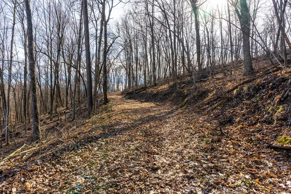 $650,000 | Lt0 Lt0 County Road, Boscobel, WI 53805