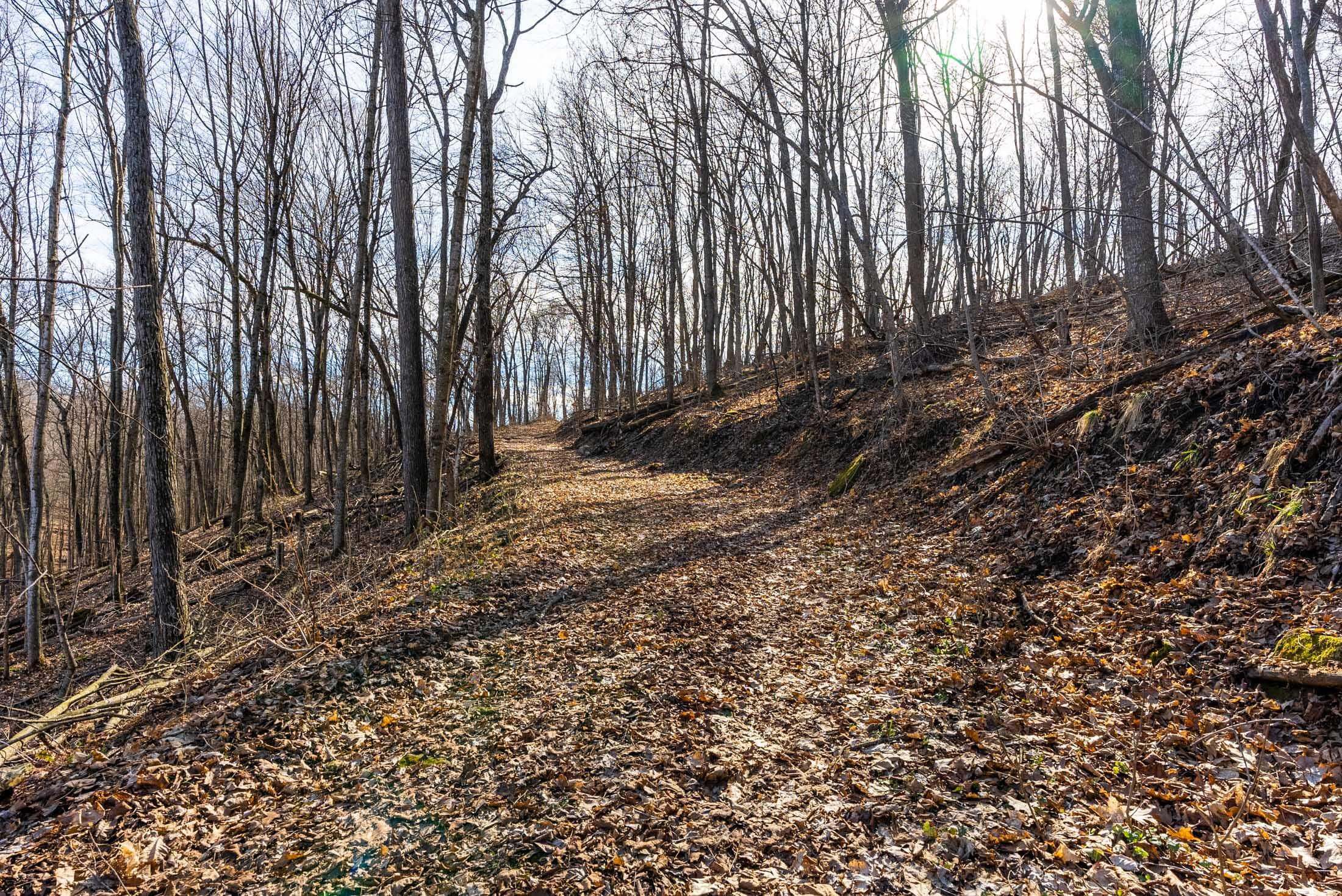 Lt0 Lt0 County Road Boscobel, WI 53805 - Photo 14 of 74 Crawford-County-WI-86-Acres-Land-For-Sal