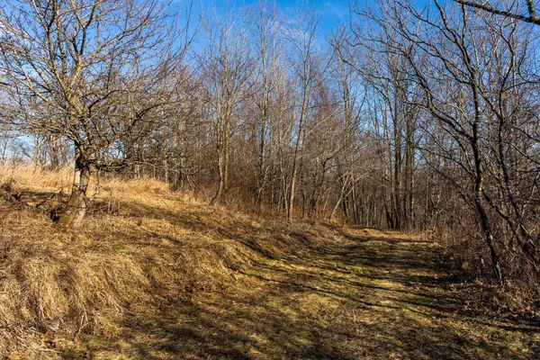 $650,000 | Lt0 Lt0 County Road, Boscobel, WI 53805